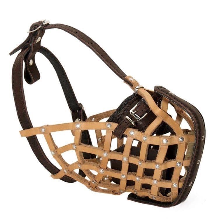 Leather Basket Muzzle with Steel Bar