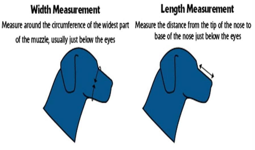 Leather Muzzle with Steel Bar