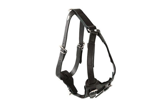 Leather Tracking Harness