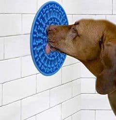 Lick Mat