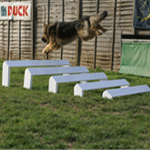 Long Jump