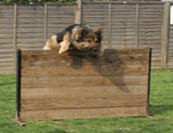 MoD Style Solid 1m Jump