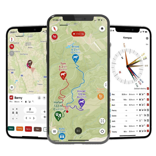 Dogtrace Tracking system DOG GPS X30