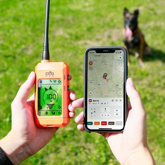 Dogtrace Tracking system DOG GPS X30