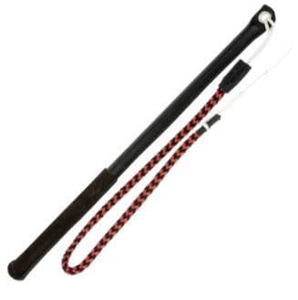 Padded Stick with Whip