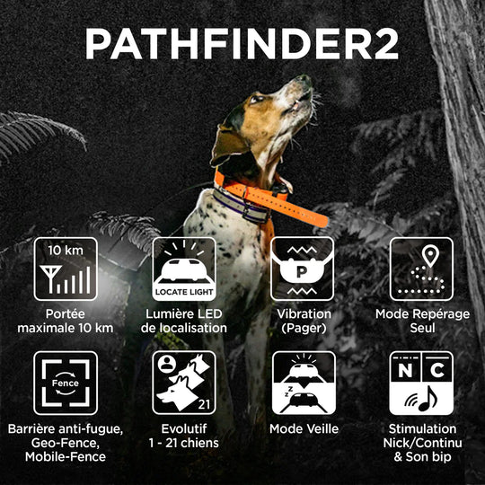 Dogtra Pathfinder 2