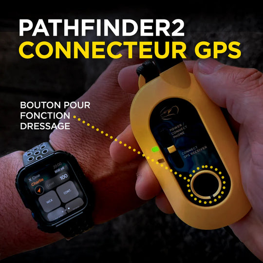 Dogtra Pathfinder 2