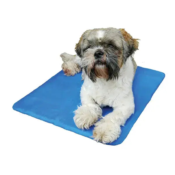 Pawsie Cool Mat