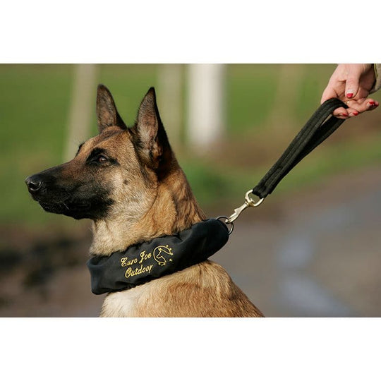 Pinch/E-Collar Cover