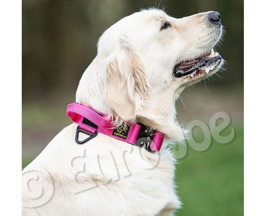 Pink Tactical Collar With Handle