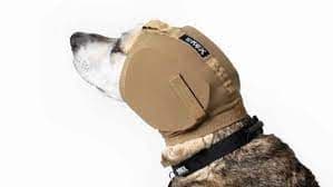 Rex Specs Ear Pro