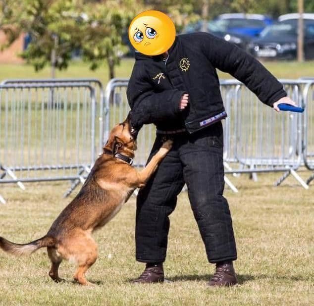 Semi Training Bite Suit