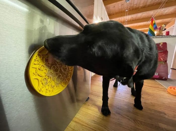 Sodapup Lick Mat Duck Design with suction cups