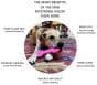 Sodapup MKB Bone Ultra Durable Nylon Dog Chew Toy