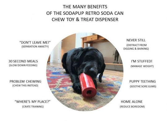 Sodapup Soda Can Chew Toy and treat dispenser