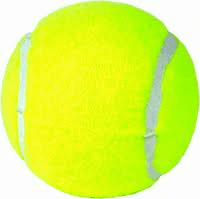 Tennis Reward Ball