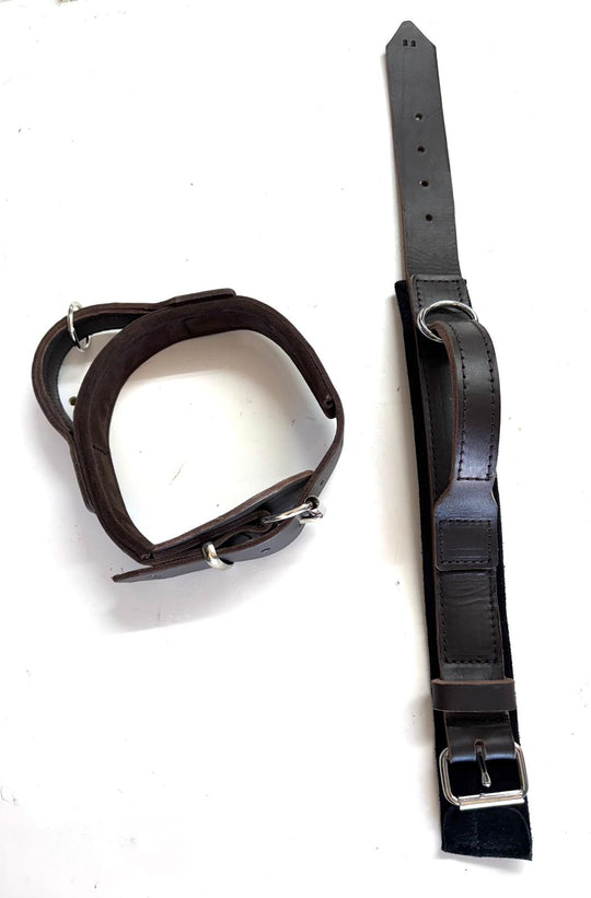 Leather Padded Agitation Collar with Handle