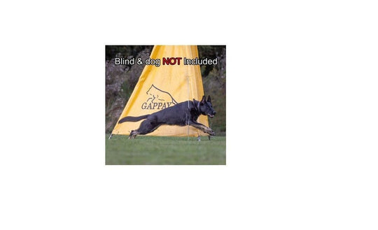 Training Pole