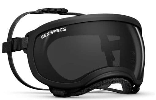 V2 Goggle - Small