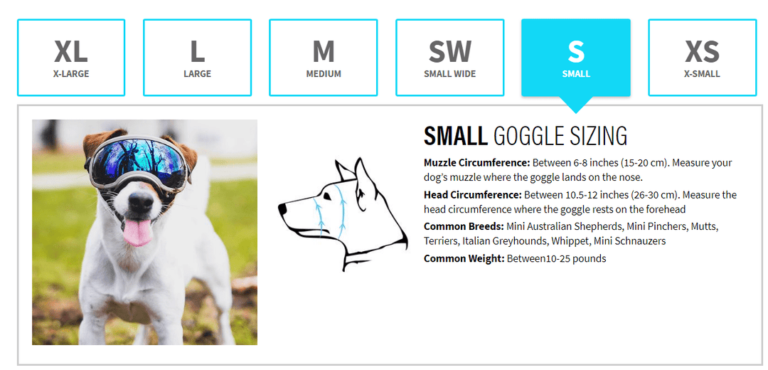 V2 Goggle - Small