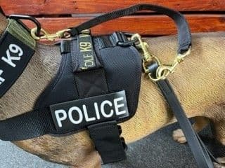 Vonwolf K9 Public Order/Riot Harness
