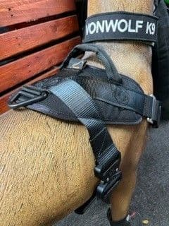 Vonwolf K9 Shark Harness