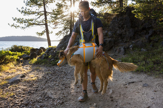 Vonwolf K9 Shark Harness