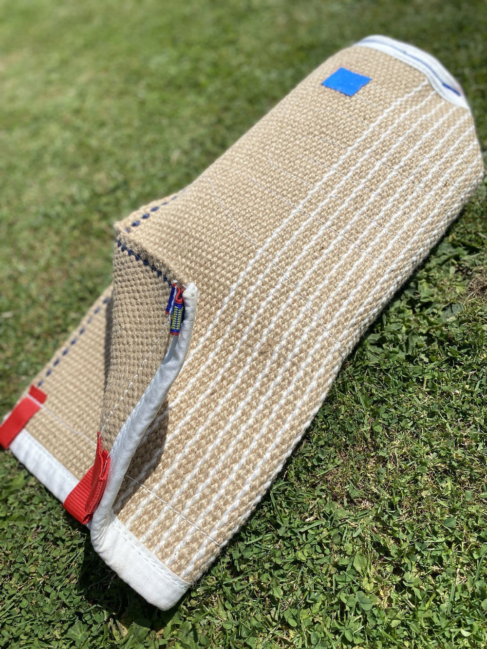 Young Dog Sleeve (Intermediate)